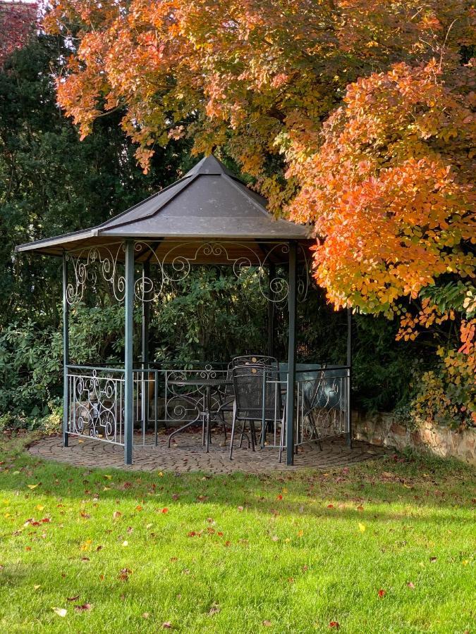 Appartamento Haus Am Pfingstborn Ober-Mörlen Esterno foto