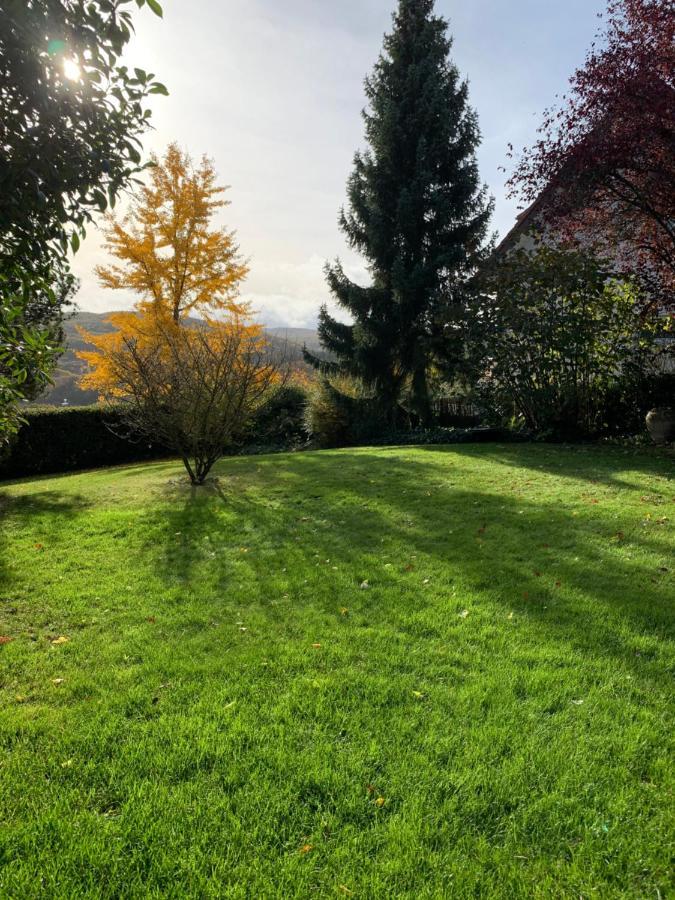 Appartamento Haus Am Pfingstborn Ober-Mörlen Esterno foto